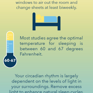 The Ideal Sleep Environment